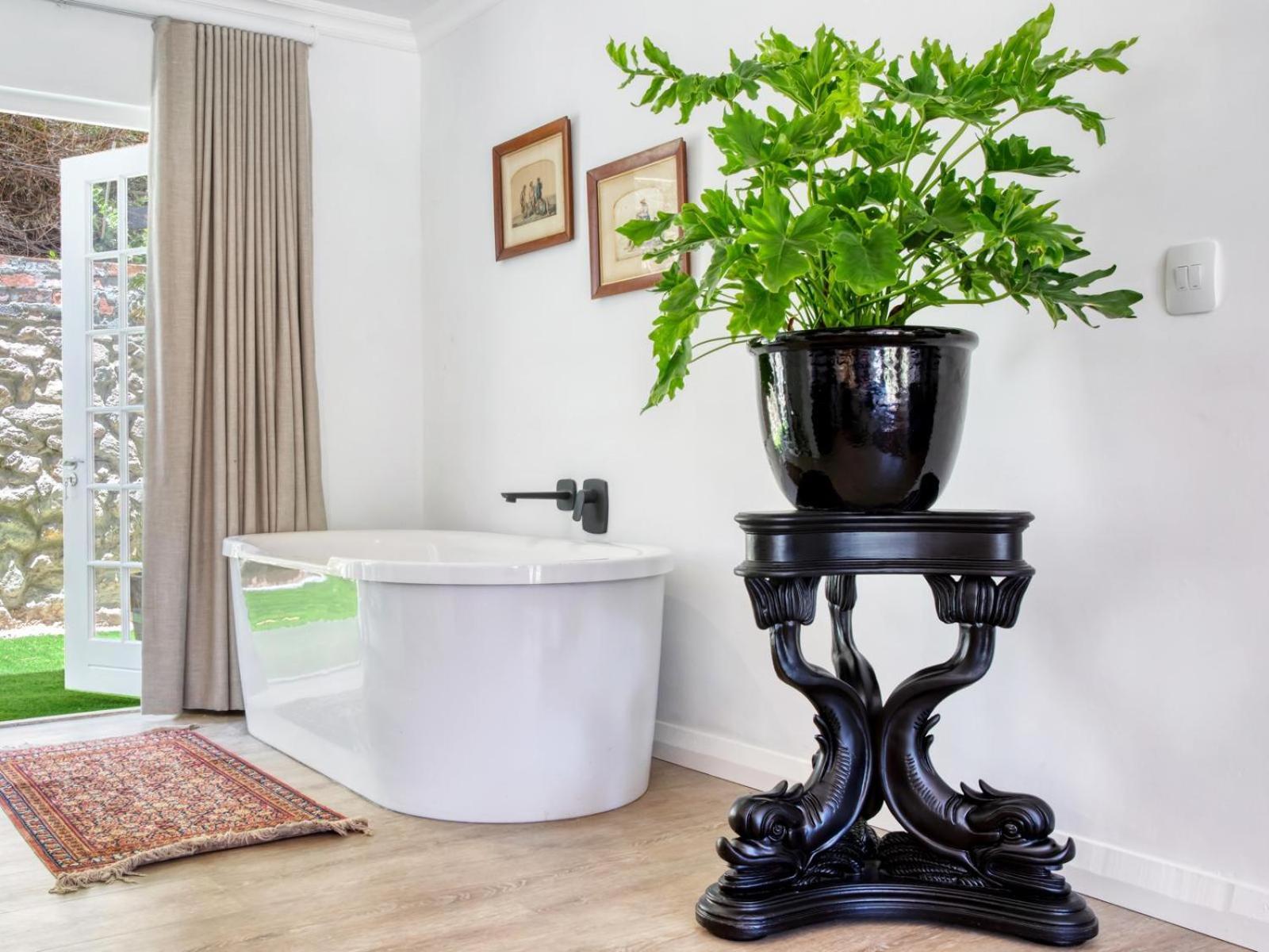Maison Montagne Franschhoek Ngoại thất bức ảnh