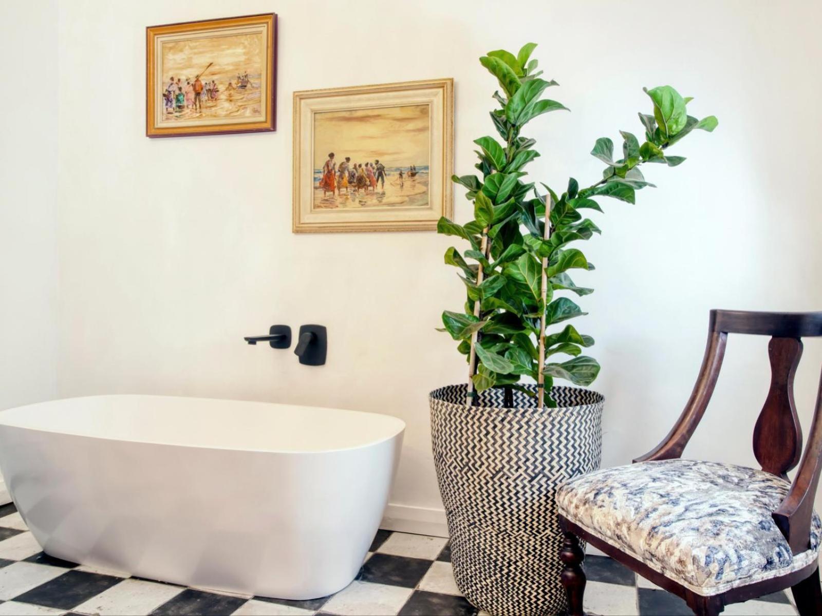Maison Montagne Franschhoek Ngoại thất bức ảnh